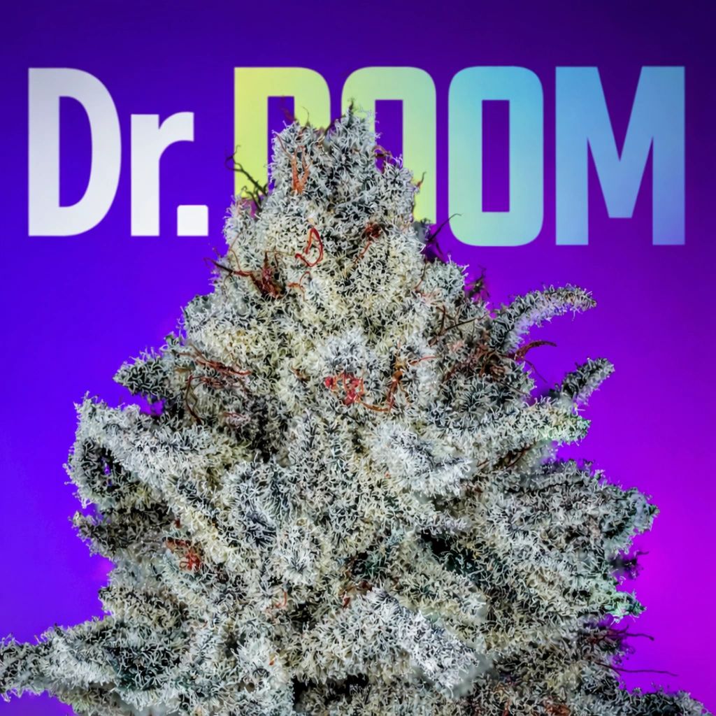 Dr. Doom Strain - Copycat Genetics